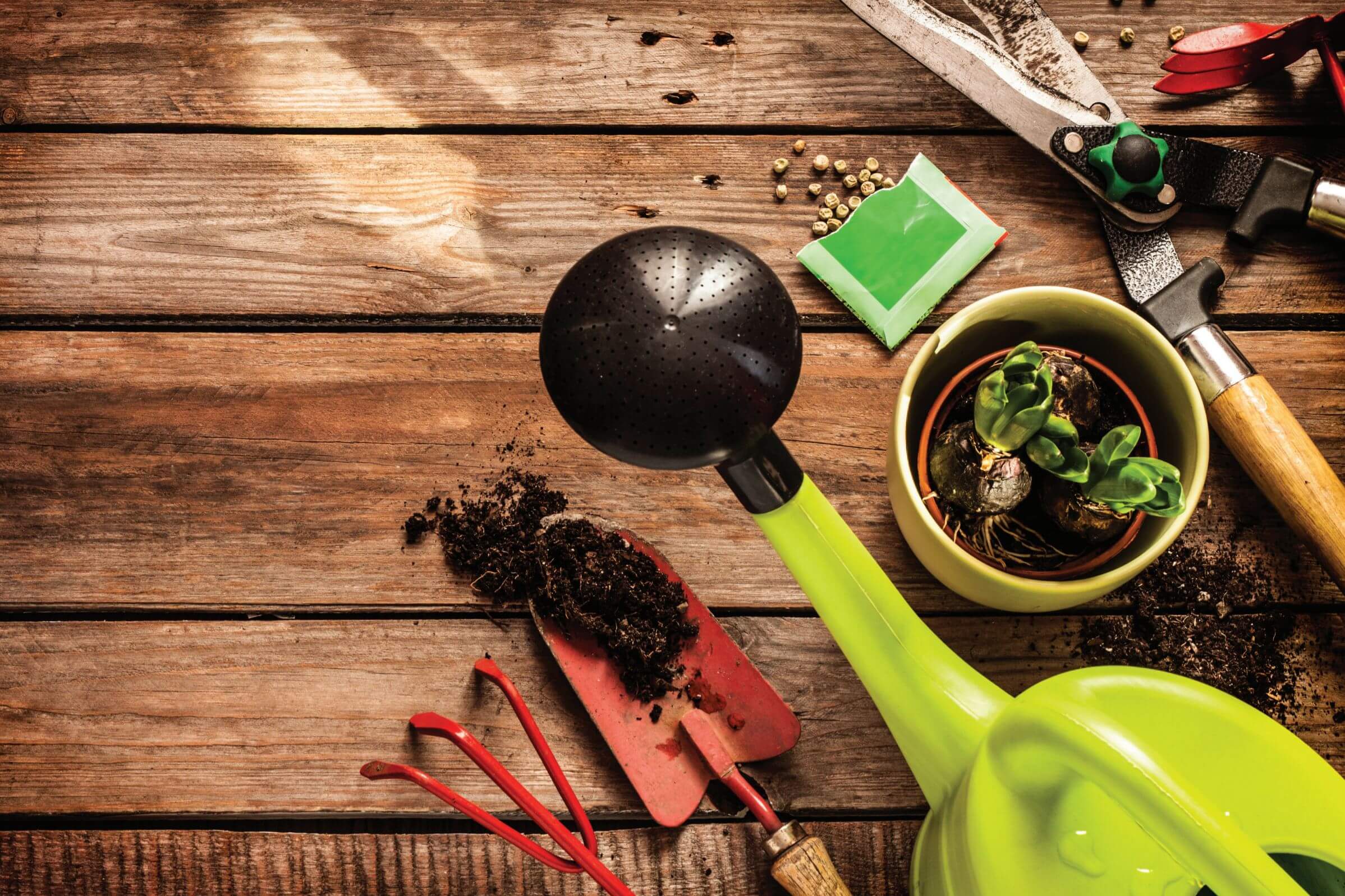 Summer gardening tools on table