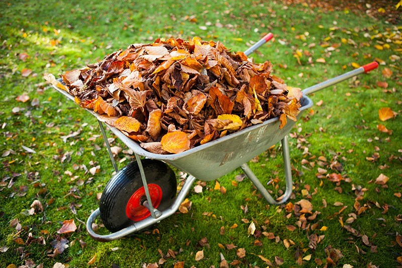 fall yard waste