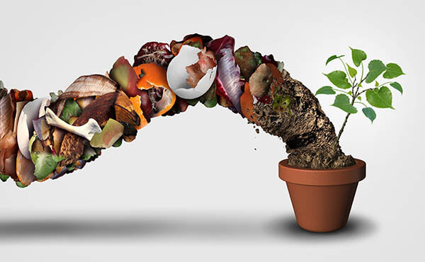 International Compost Awareness Week: Appreciating the Benefits of Composting