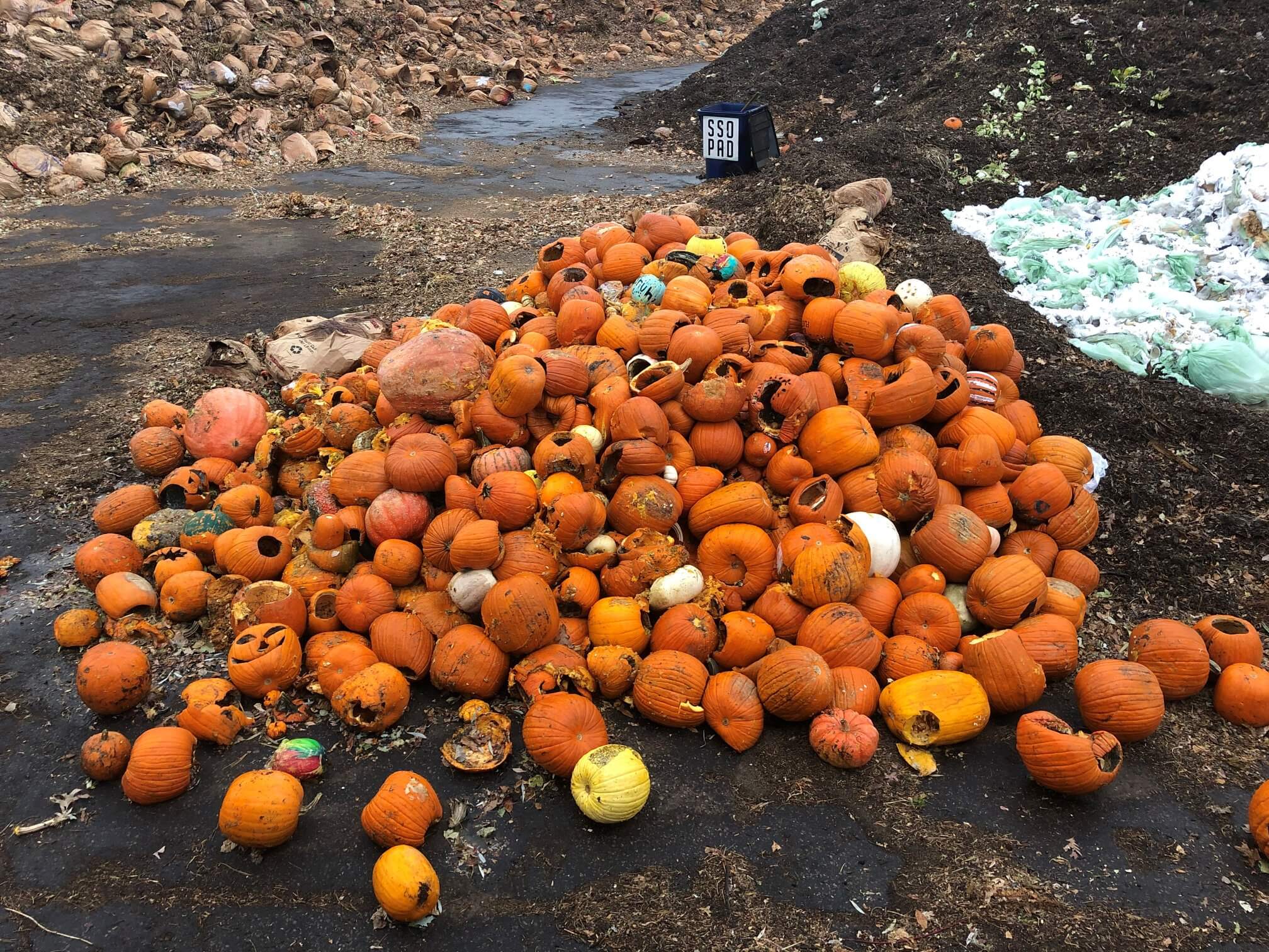 Pumpkin Drop-Off