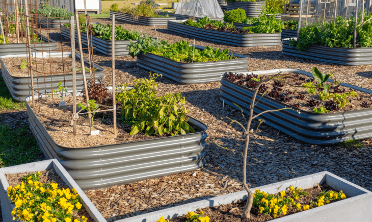 at-home garden